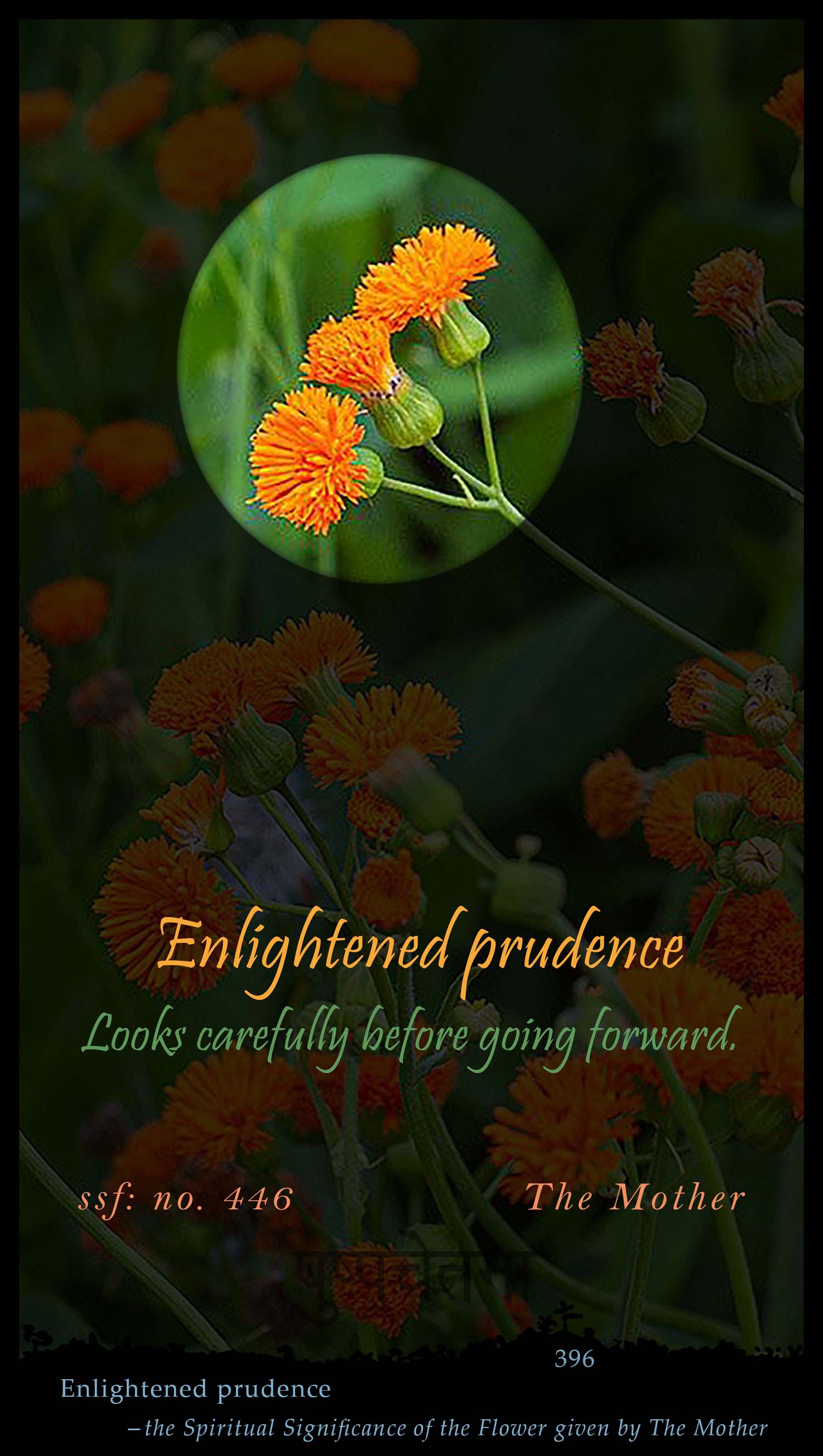 Enlightened Prudence